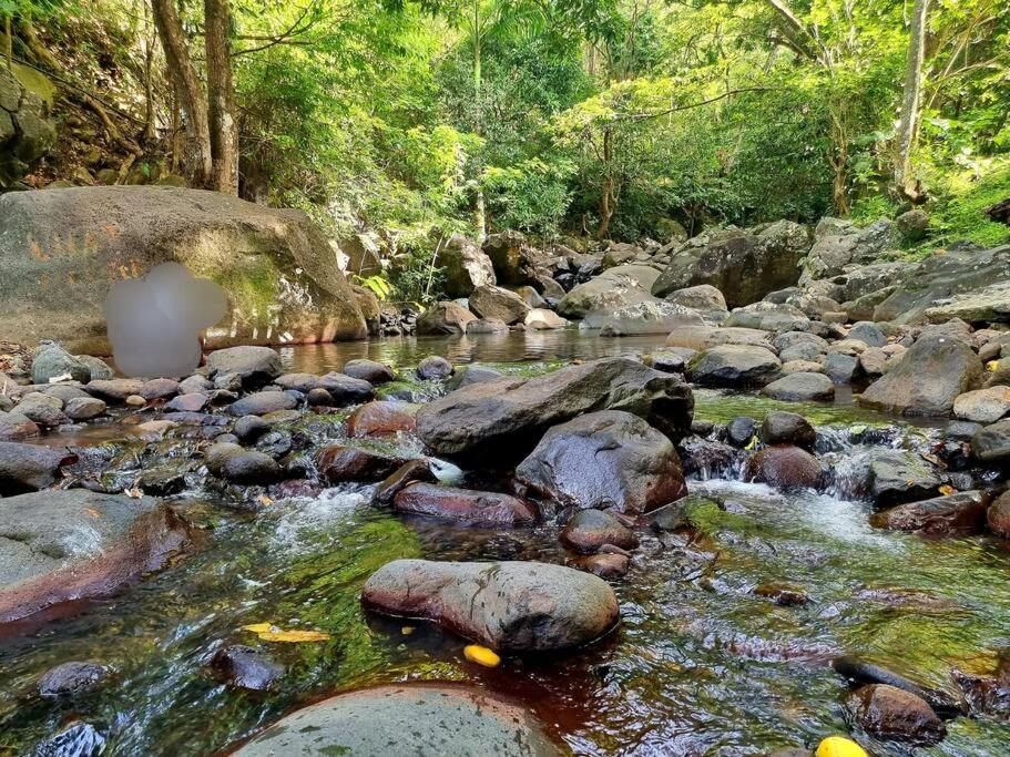 L'Ilet Paradise ปวงต์-นัวร์ ภายนอก รูปภาพ