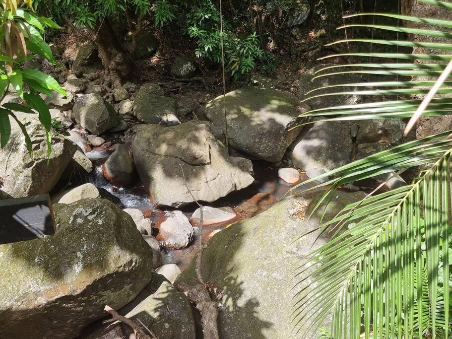 L'Ilet Paradise ปวงต์-นัวร์ ภายนอก รูปภาพ