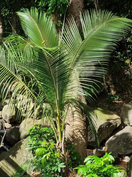 L'Ilet Paradise ปวงต์-นัวร์ ภายนอก รูปภาพ